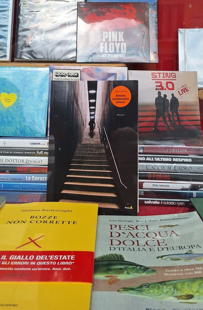 Una selezione di libri e dischi in una vetrina, tra cui album di Pink Floyd e Sting, e testi di autori italiani.