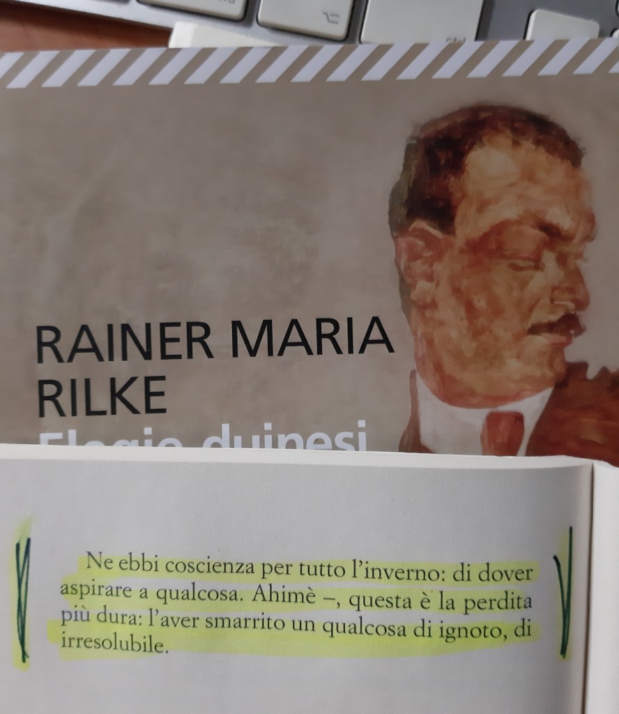 Copertina del libro 'Elegie duinesi' di Rainer Maria Rilke con una citazione evidenziata all'interno.