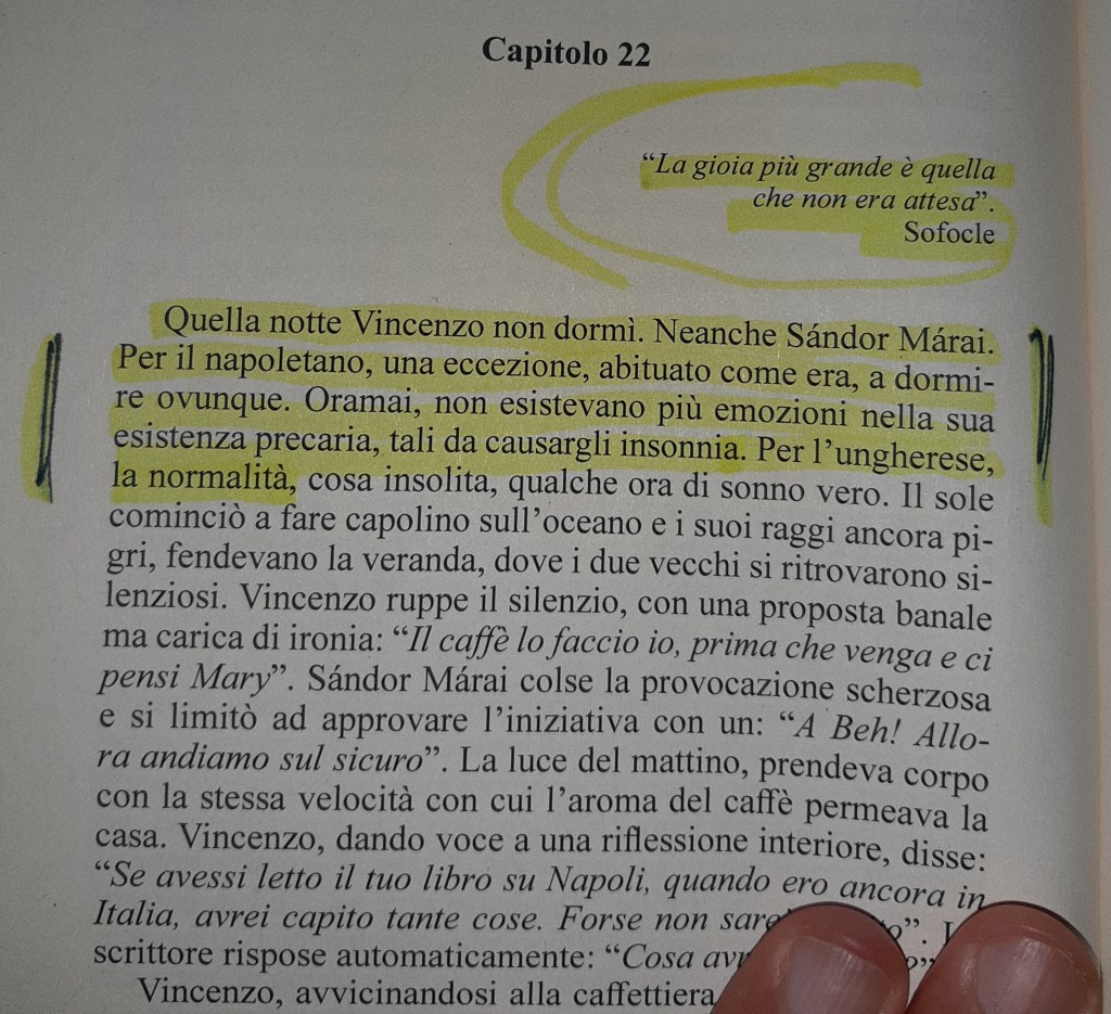 Un passaggio evidenziato da un libro, con il titolo 'Capitolo 22'. Il testo descrive una notte in cui un personaggio non riesce a dormire, menzionando Sándor Màrai. Alcuni segmenti sono sottolineati per evidenziare frasi significative.