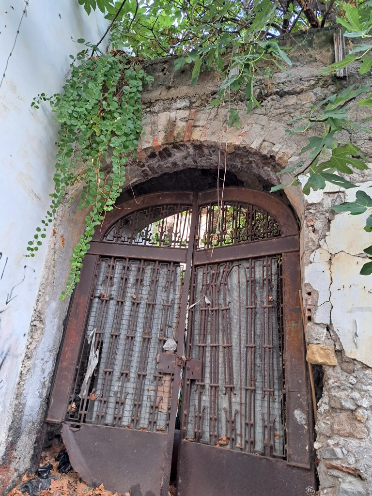 Una vecchia porta di ferro arrugginita con una grata, circondata da piante verdi e vegetazione, in un contesto urbano in rovina.