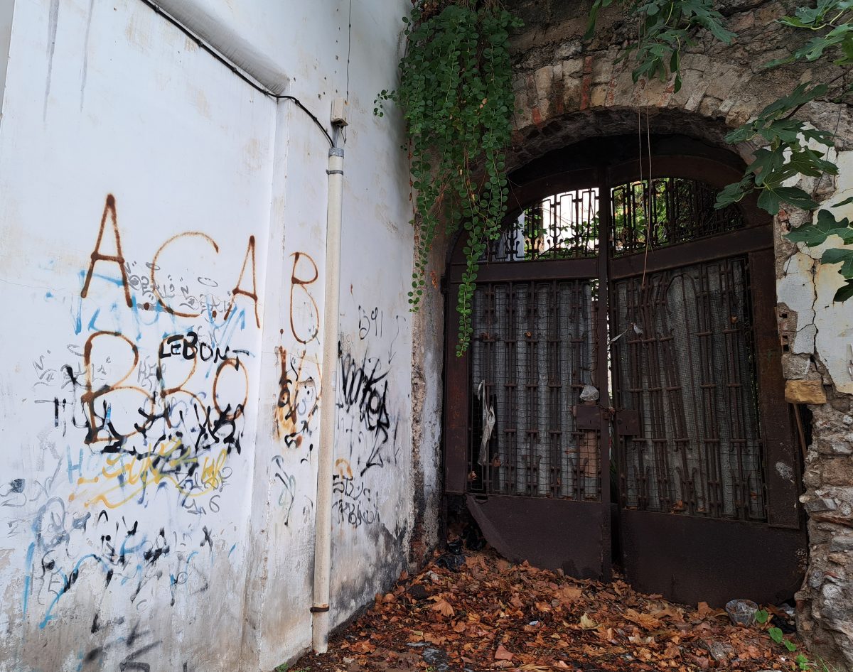 Muro con graffiti e cancello arrugginito circondato da vegetazione.