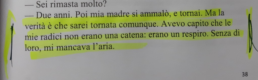 Testo di un romanzo in lingua italiana con evidenziazione evidenziata in giallo.