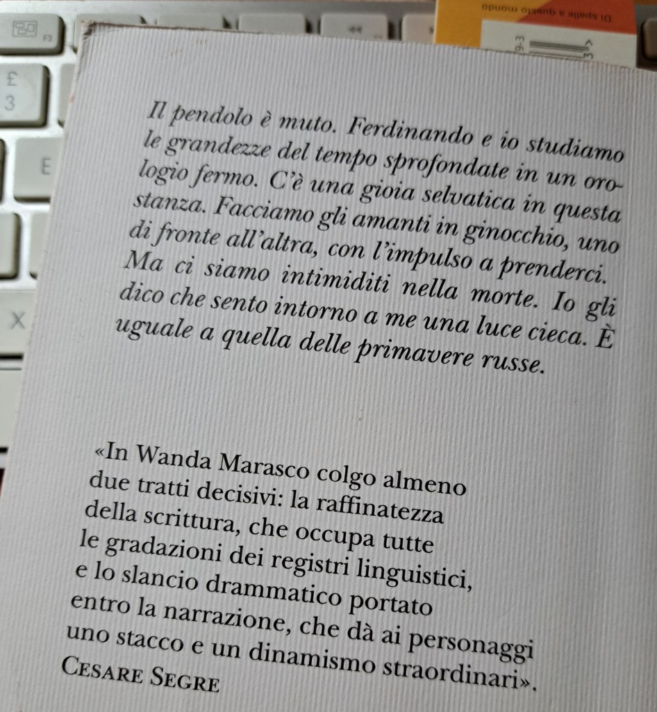 Testo di un libro con citazioni su esperienze emotive e la scrittura.