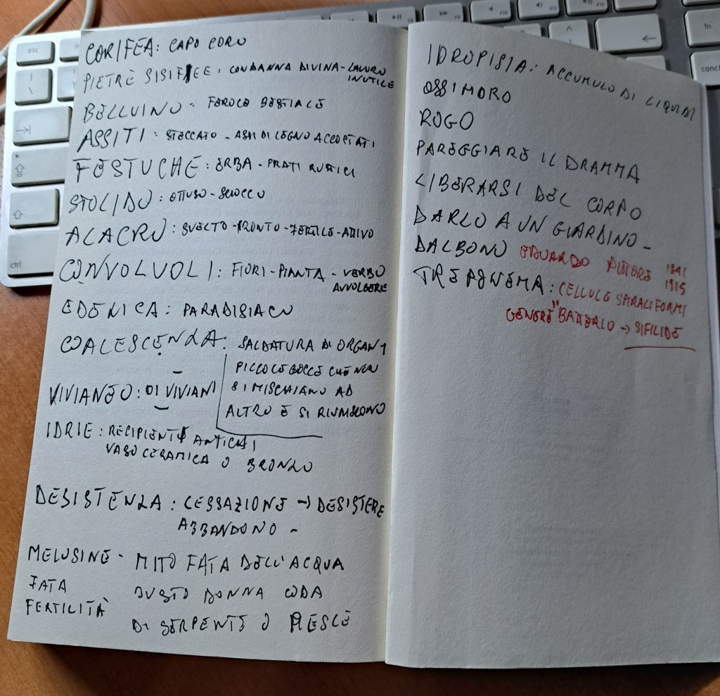 Pagina di appunti scritti a mano contenente termini e definizioni in italiano, con annotazioni a margine e un'illustrazione di note sulle scienze e mitologie.